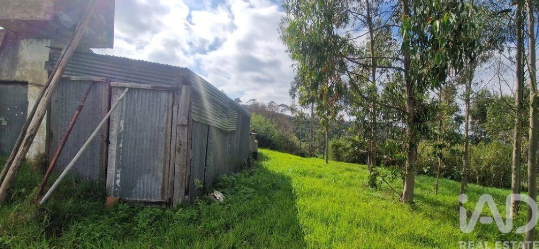 Terreno para Venda em Mafra Foto 26