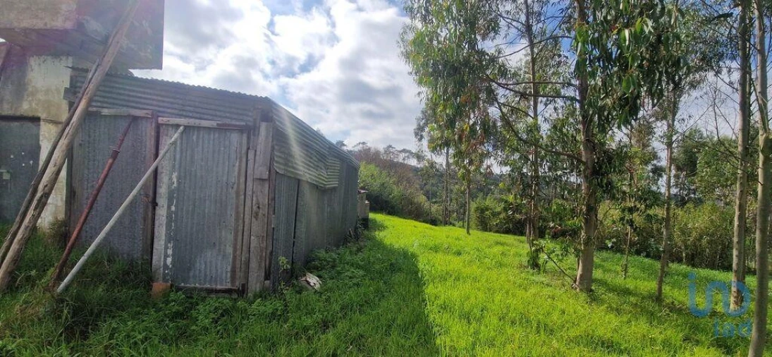 Terreno para Venda em Mafra Foto 11