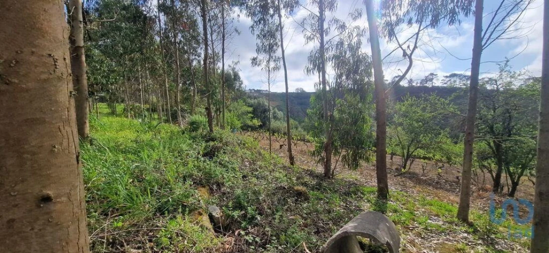 Terreno para Venda em Mafra Foto 5
