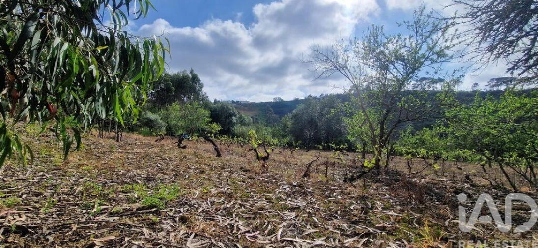 Terreno para Venda em Mafra Foto 23