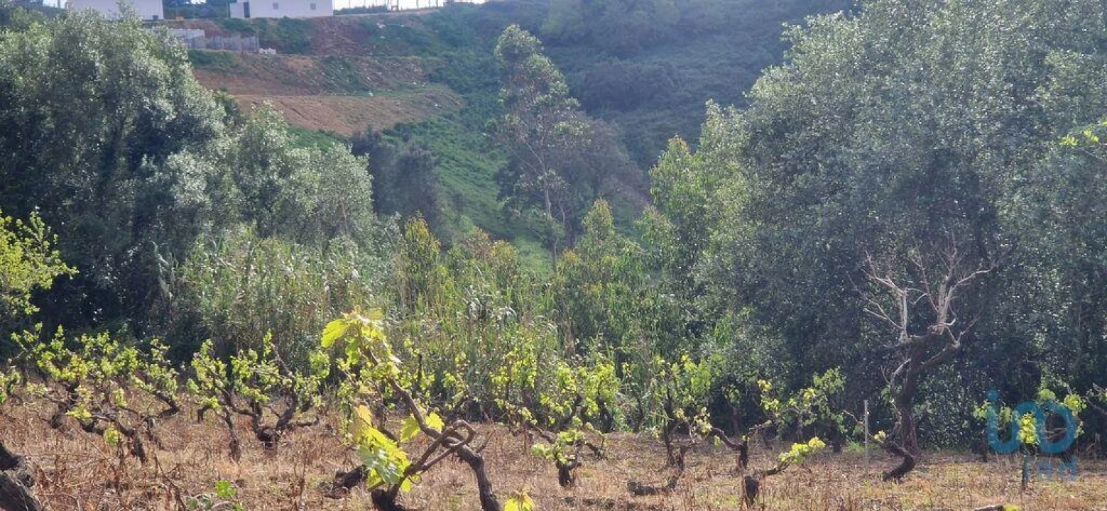 Terreno para Venda em Mafra Foto 7