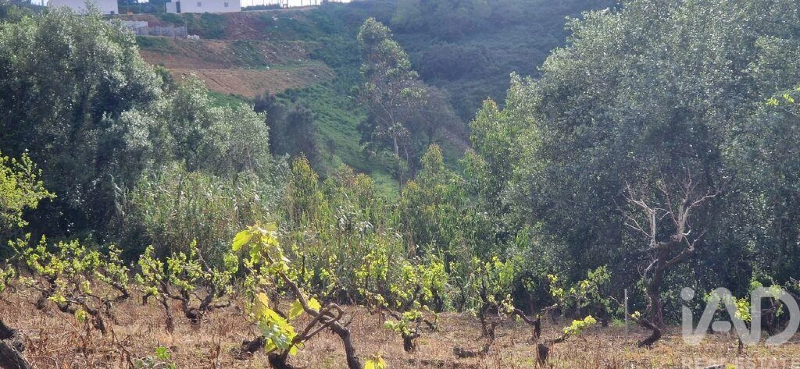 Terreno para Venda em Mafra Foto 17