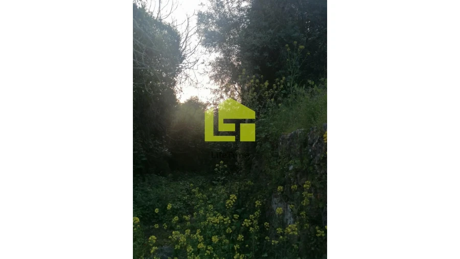 Moradia T3 para Venda em Podentes Foto 3