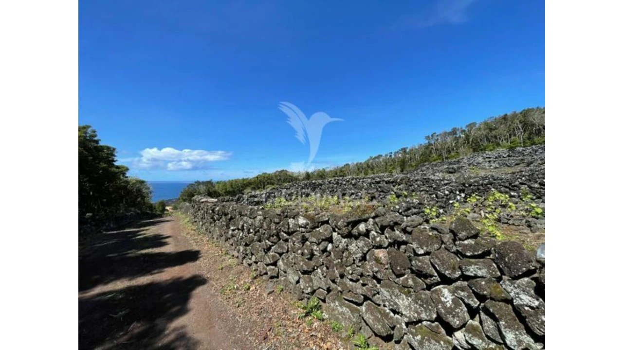 Terreno para Venda em Candelaria Foto 9
