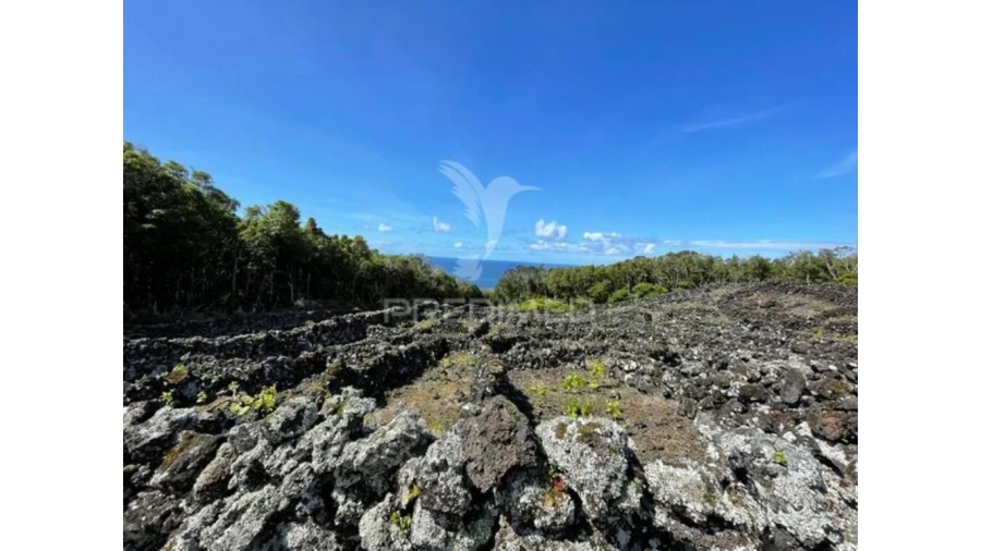 Terreno para Venda em Candelaria Foto 2
