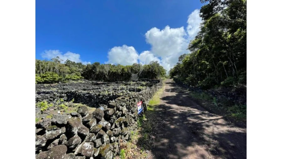 Terreno para Venda em Candelaria Foto 12