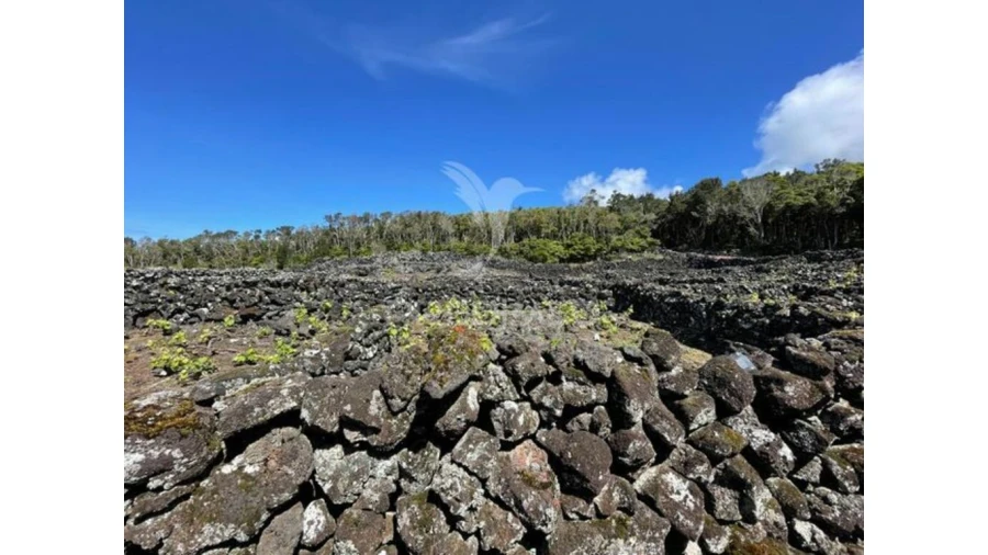 Terreno para Venda em Candelaria