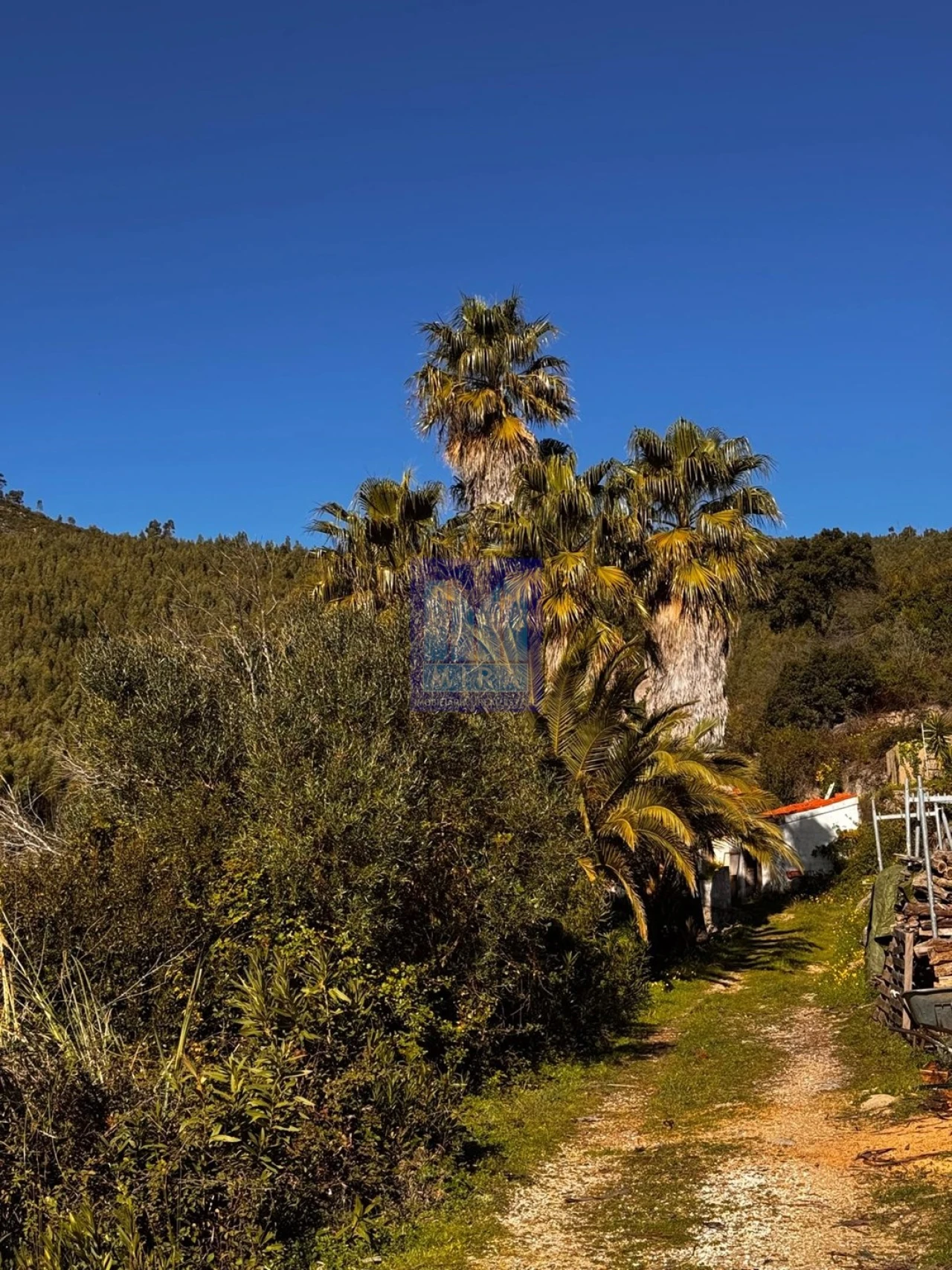 Quinta T2 para Venda em Monchique Foto 41