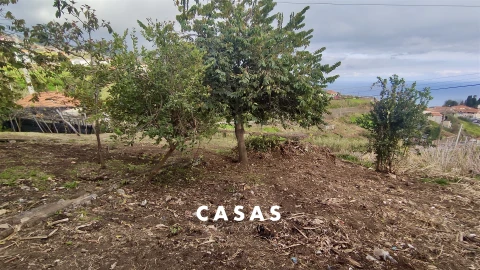 Terreno para Venda em Canhas