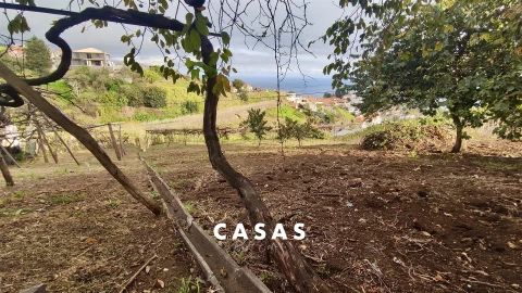Terreno para Venda em Canhas