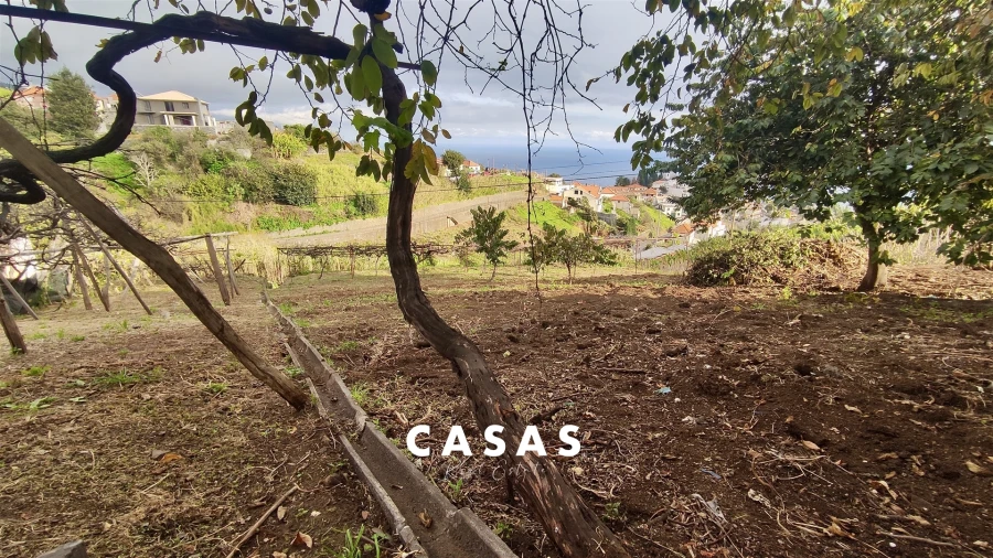 Terreno para Venda em Canhas Foto 21