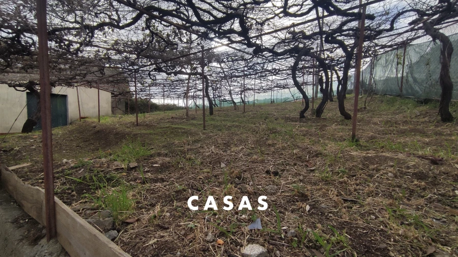 Terreno para Venda em Canhas Foto 6