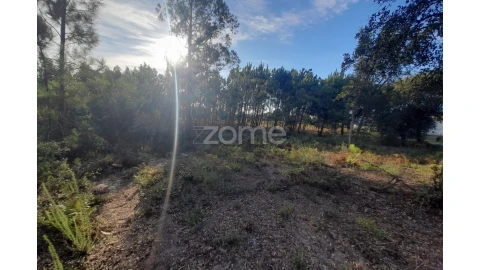 Terreno para Venda em Monte Redondo e Carreira
