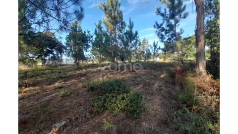 Terreno para Venda em Monte Redondo e Carreira