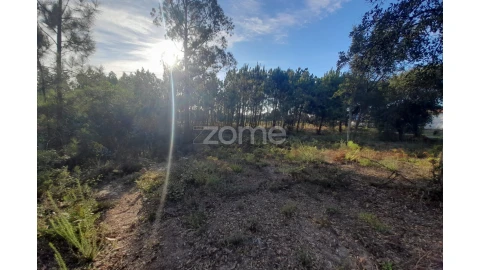 Terreno para Venda em Monte Redondo e Carreira