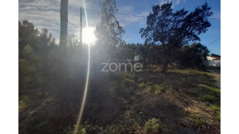 Terreno para Venda em Monte Redondo e Carreira