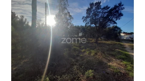 Terreno para Venda em Monte Redondo e Carreira