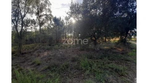 Terreno para Venda em Monte Redondo e Carreira