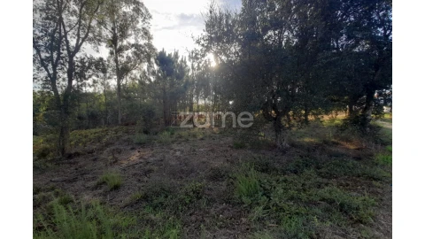 Terreno para Venda em Monte Redondo e Carreira