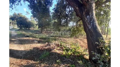 Terreno para Venda em Monte Redondo e Carreira