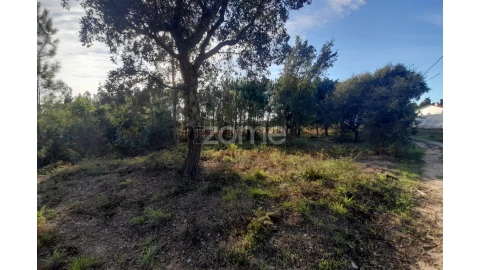 Terreno para Venda em Monte Redondo e Carreira