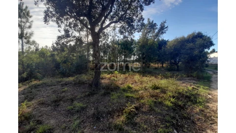 Terreno para Venda em Monte Redondo e Carreira