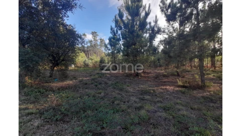 Terreno para Venda em Monte Redondo e Carreira