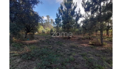 Terreno para Venda em Monte Redondo e Carreira