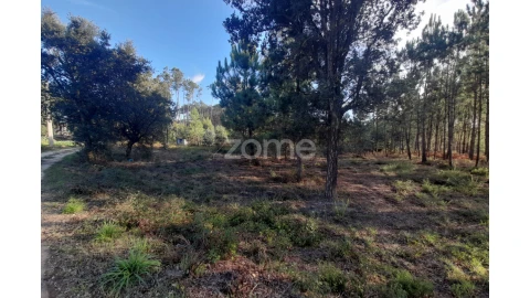 Terreno para Venda em Monte Redondo e Carreira