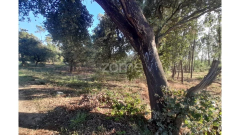 Terreno para Venda em Monte Redondo e Carreira