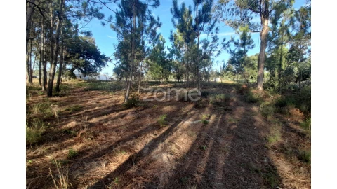 Terreno para Venda em Monte Redondo e Carreira