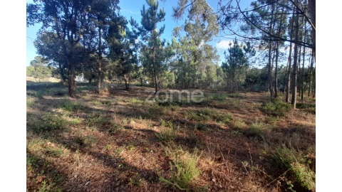 Terreno para Venda em Monte Redondo e Carreira