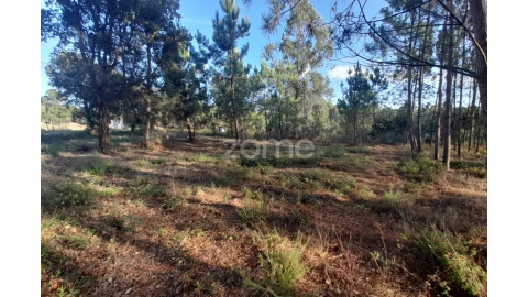 Terreno para Venda em Monte Redondo e Carreira