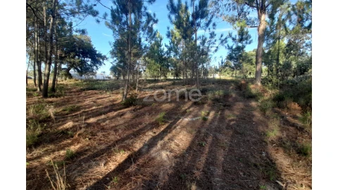 Terreno para Venda em Monte Redondo e Carreira