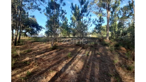Terreno para Venda em Monte Redondo e Carreira