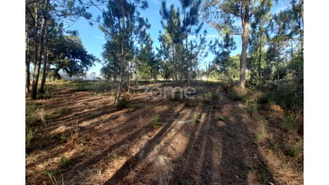 Terreno para Venda em Monte Redondo e Carreira