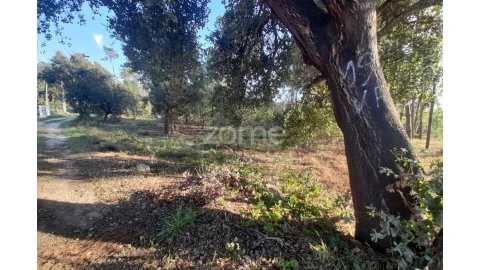Terreno para Venda em Monte Redondo e Carreira