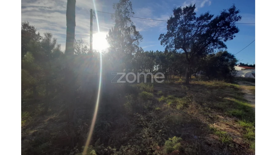Terreno para Venda em Monte Redondo e Carreira Foto 17