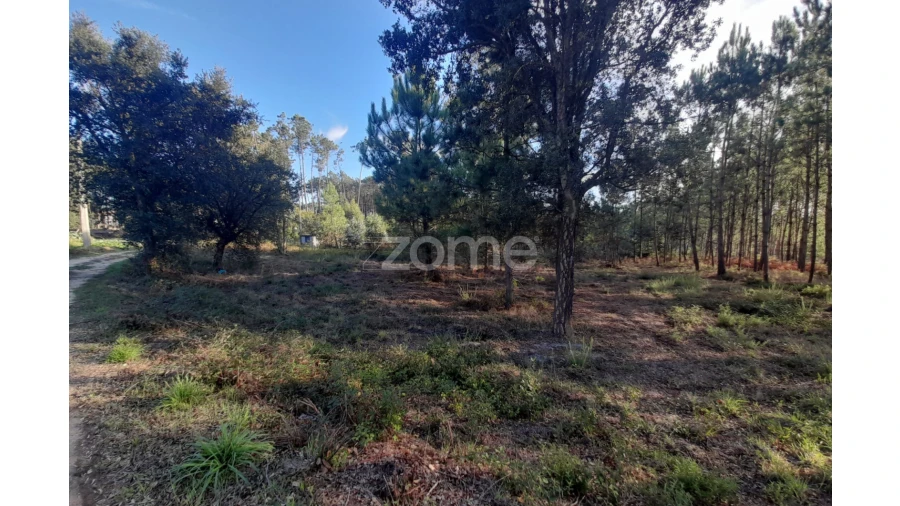 Terreno para Venda em Monte Redondo e Carreira Foto 25