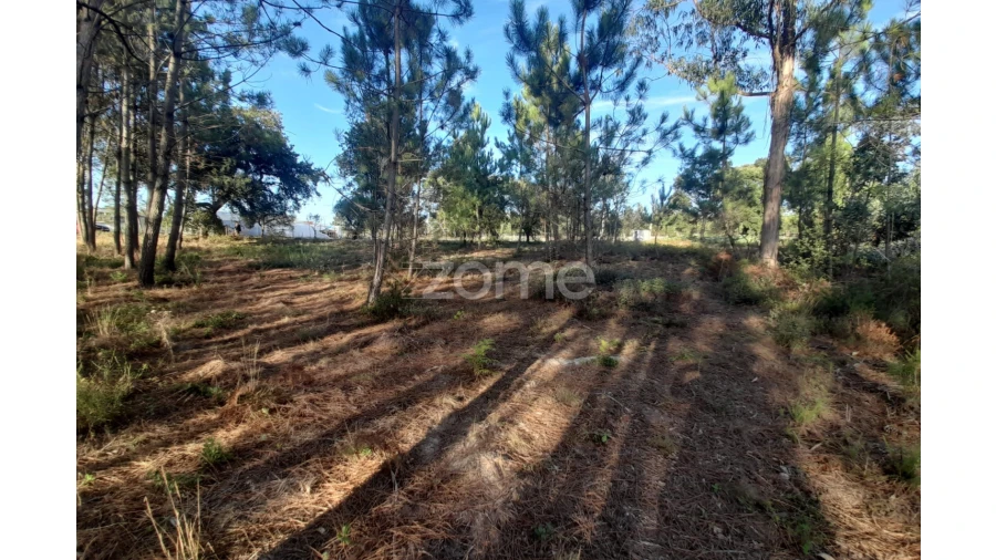 Terreno para Venda em Monte Redondo e Carreira Foto 3