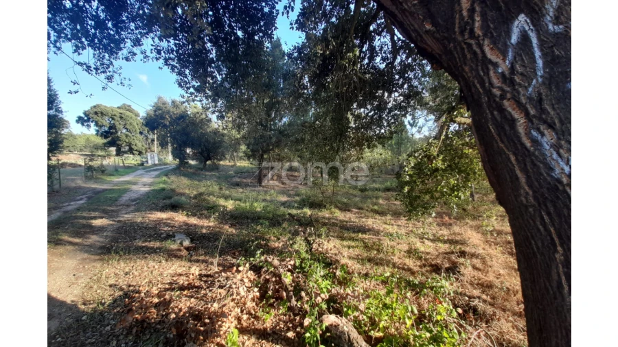 Terreno para Venda em Monte Redondo e Carreira Foto 6