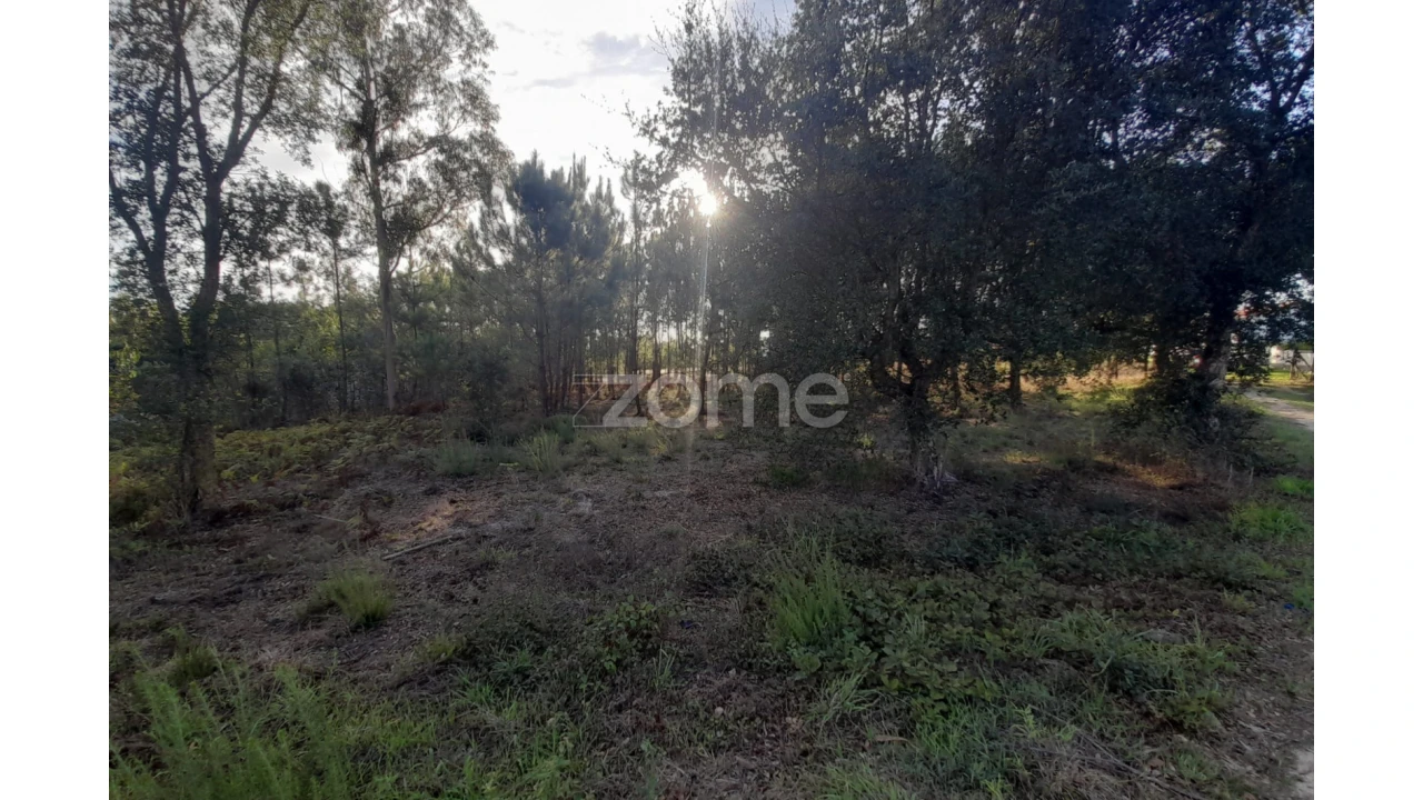 Terreno para Venda em Monte Redondo e Carreira Foto 19