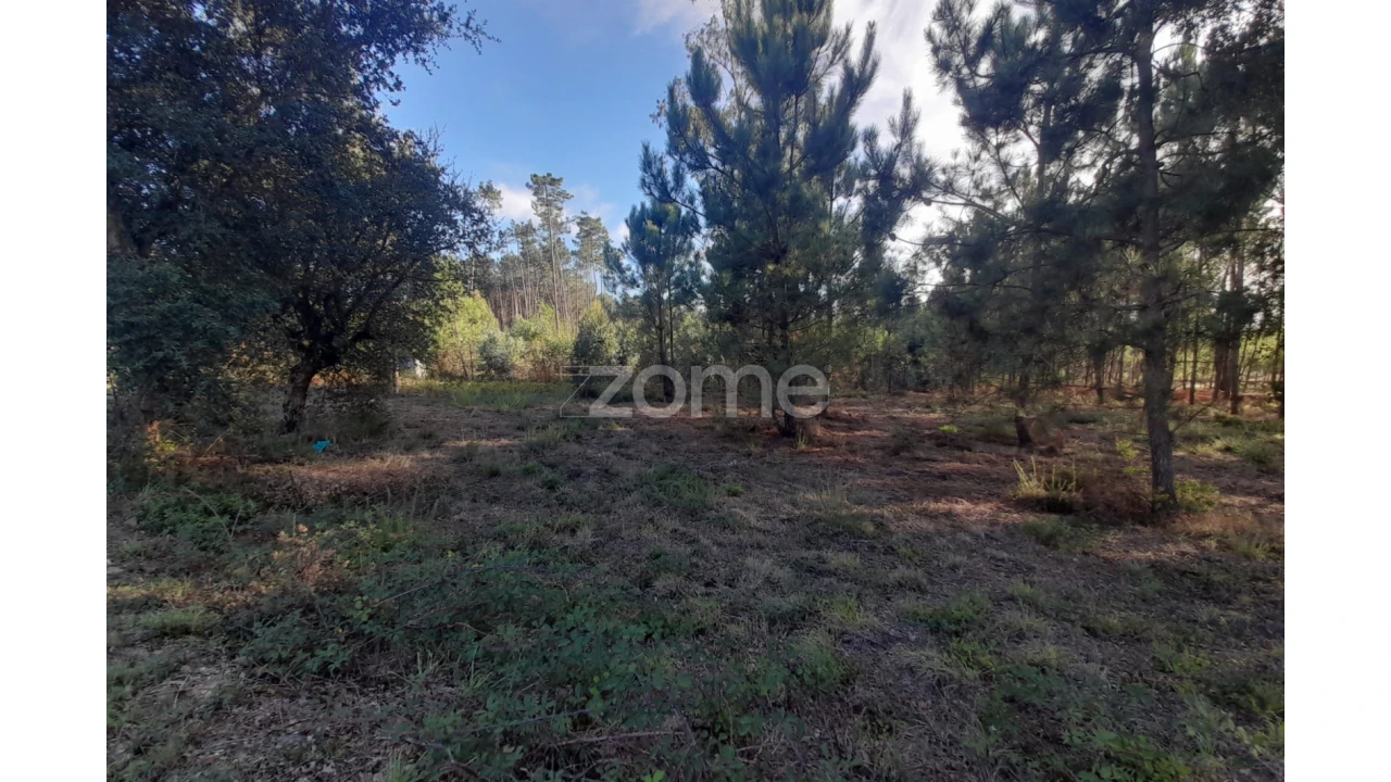 Terreno para Venda em Monte Redondo e Carreira Foto 24