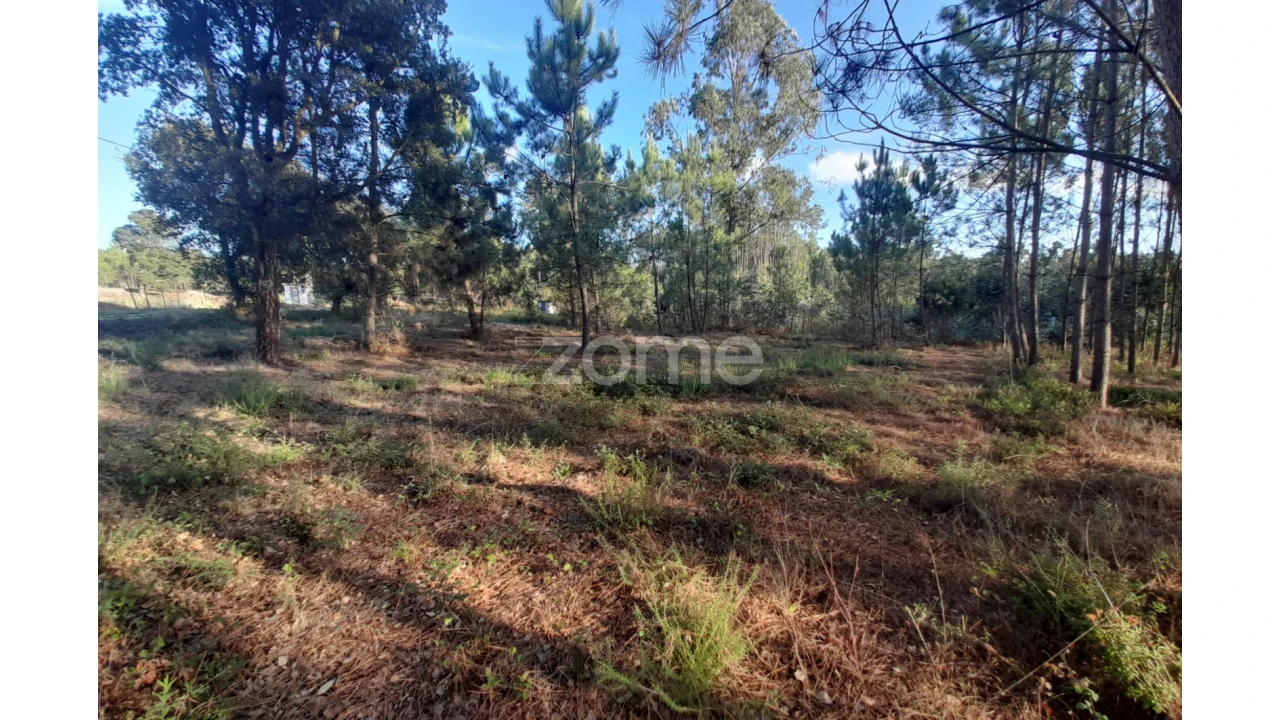 Terreno para Venda em Monte Redondo e Carreira Foto 4