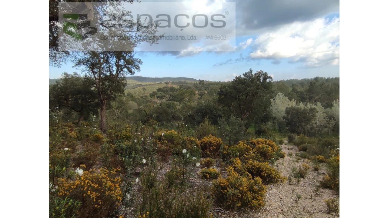 Terreno Agricola ou Rústico para Venda em Sarzedas Foto 5