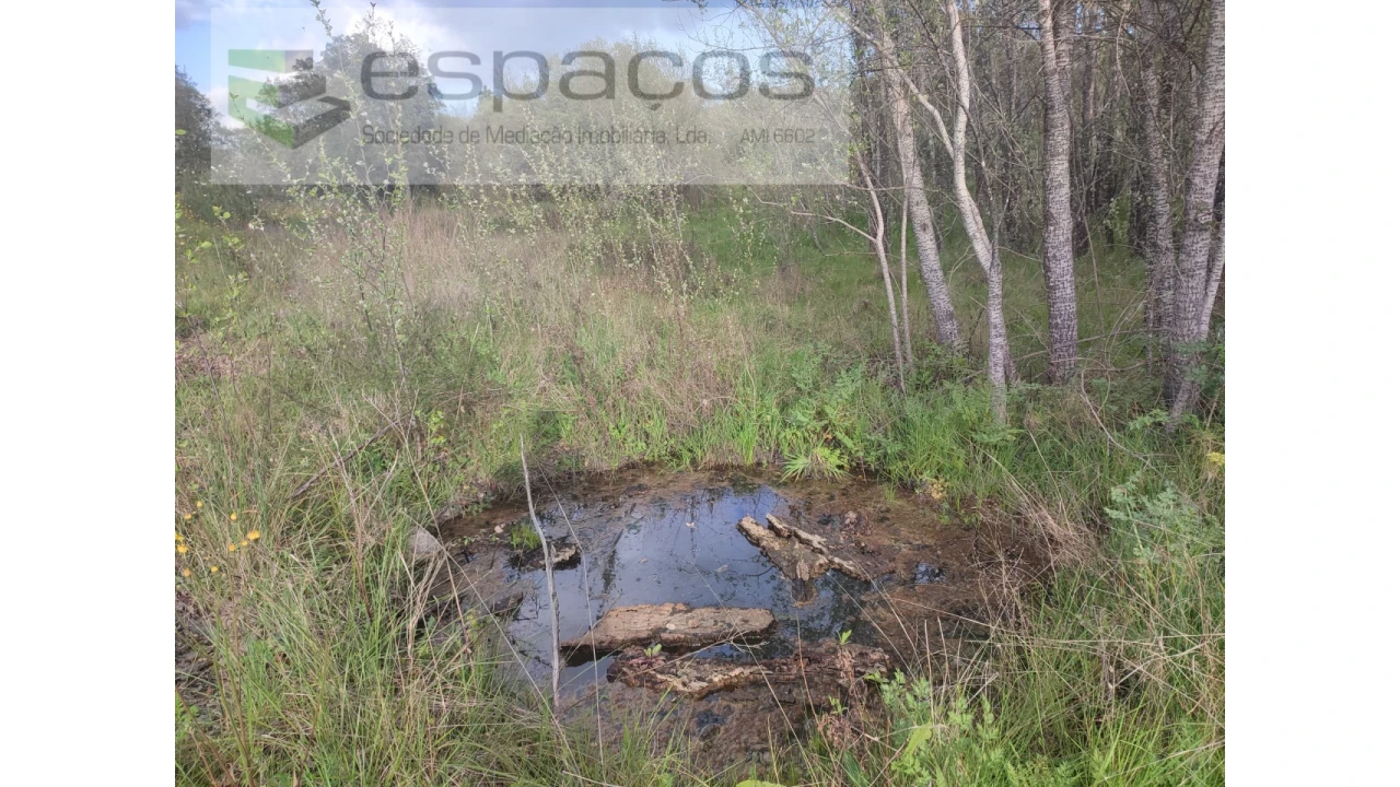 Terreno Agricola ou Rústico para Venda em Sarzedas Foto 7