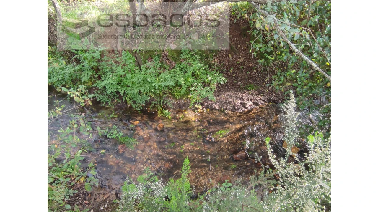 Terreno Agricola ou Rústico para Venda em Sarzedas Foto 8