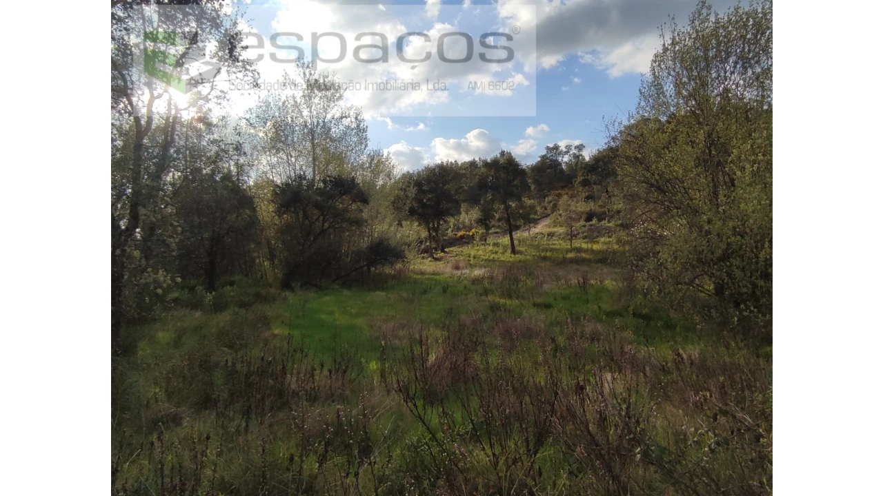 Terreno Agricola ou Rústico para Venda em Sarzedas Foto 9