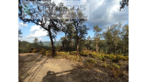 Terreno Agricola ou Rústico para Venda em Sarzedas
