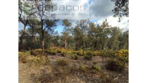 Terreno Agricola ou Rústico para Venda em Sarzedas